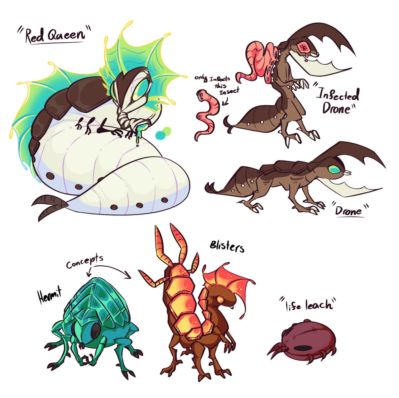 Assortment of Insects