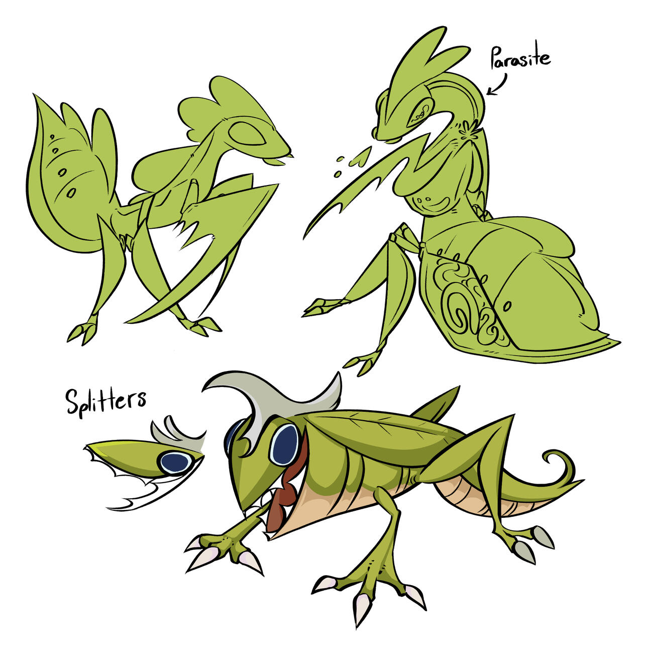 Insect Concepts